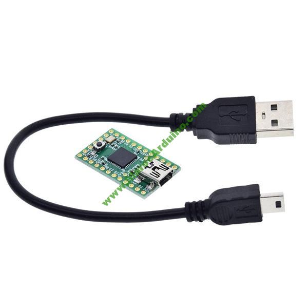 teensy 2.0 Usb AVR