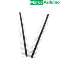 Header Male-Male (40pins)