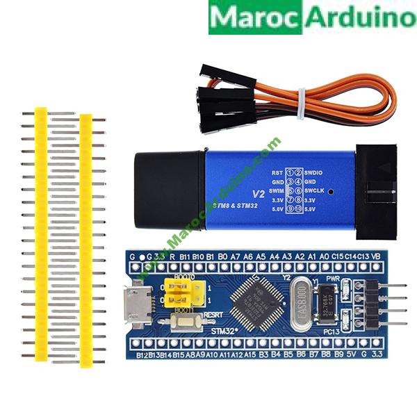 kit Carte STM32 avec programmateur ST Link V2