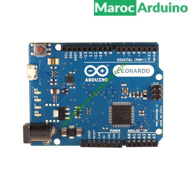 Arduino LEONARDO avec Cable USB